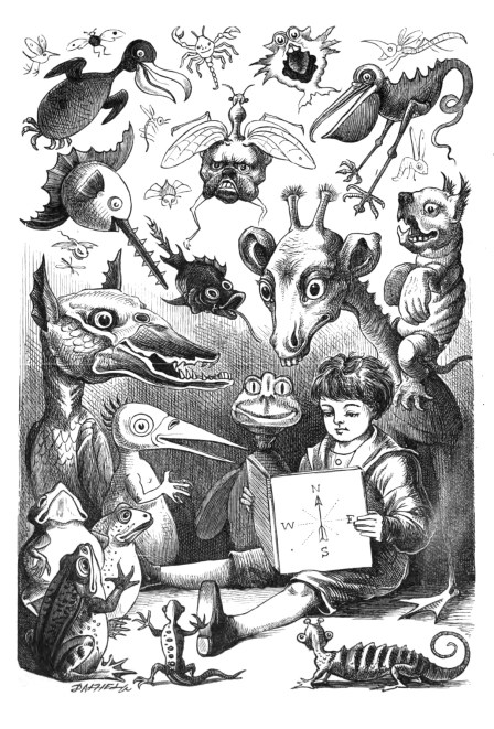 From nowhere to the North Pole