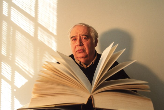 Harold-Bloom